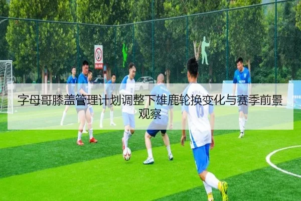 字母哥膝盖管理计划调整下雄鹿轮换变化与赛季前景观察